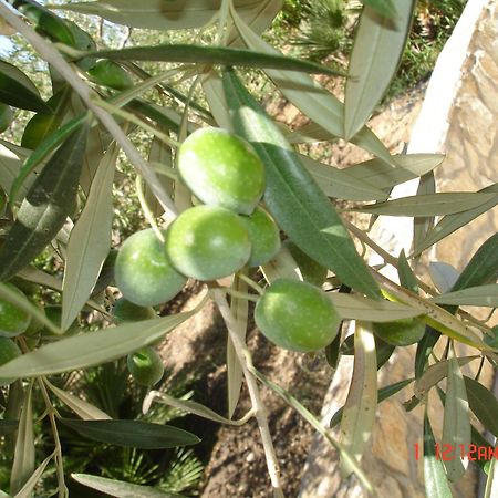 مارينيلاّ B&B Garzia المظهر الخارجي الصورة