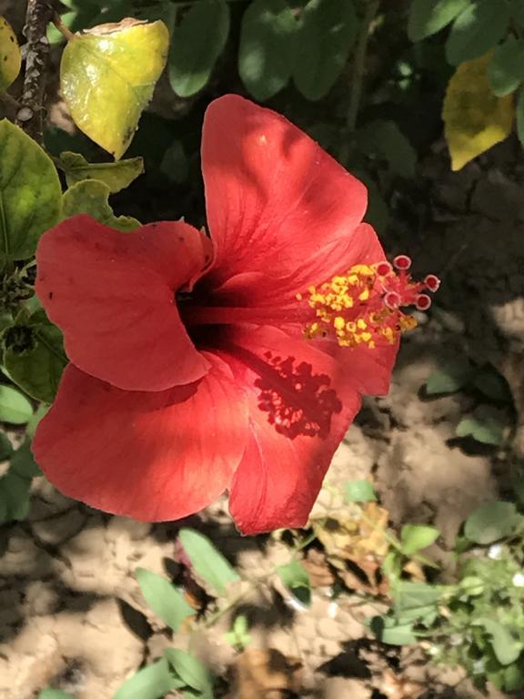 مارينيلاّ B&B Garzia المظهر الخارجي الصورة
