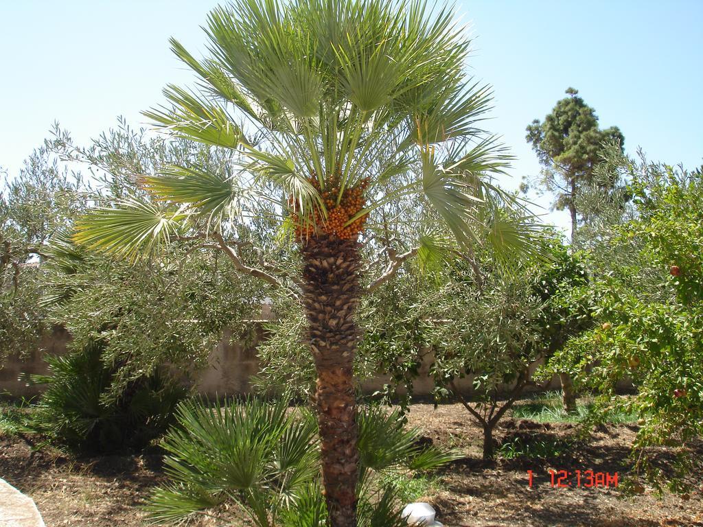 مارينيلاّ B&B Garzia المظهر الخارجي الصورة